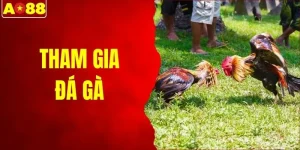 Tham Gia Đá Gà Trực Tuyến - Trải Nghiệm Cực Kỳ Hấp Dẫn